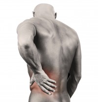 What causes back spasm