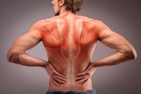 Are heat ointments good for your back pain